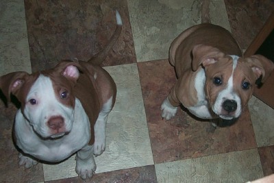 Jake and Jena June 2004