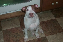Jake June 2004