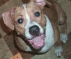 Jena 8 months old
