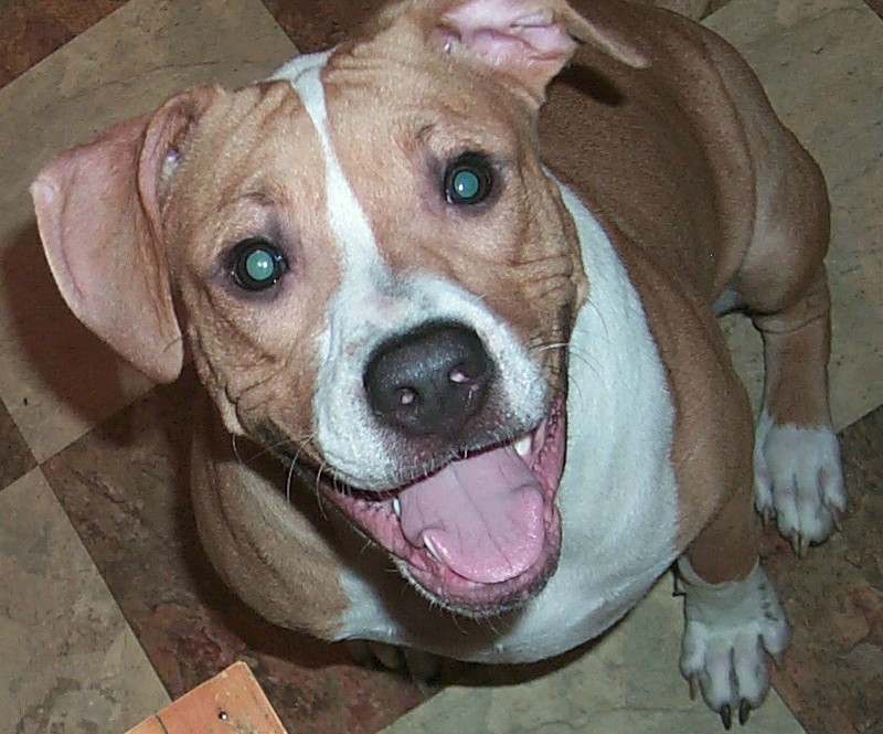 Jena 8 months old