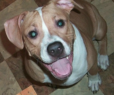 Jena 8 months