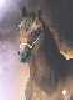 Manuelo (80x80 pixels)