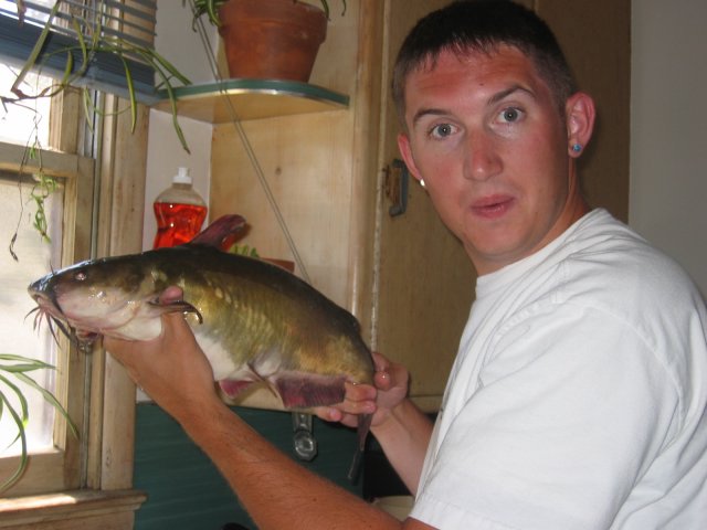 holy batfish Catman!!!