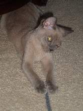 Alastair 4mos.