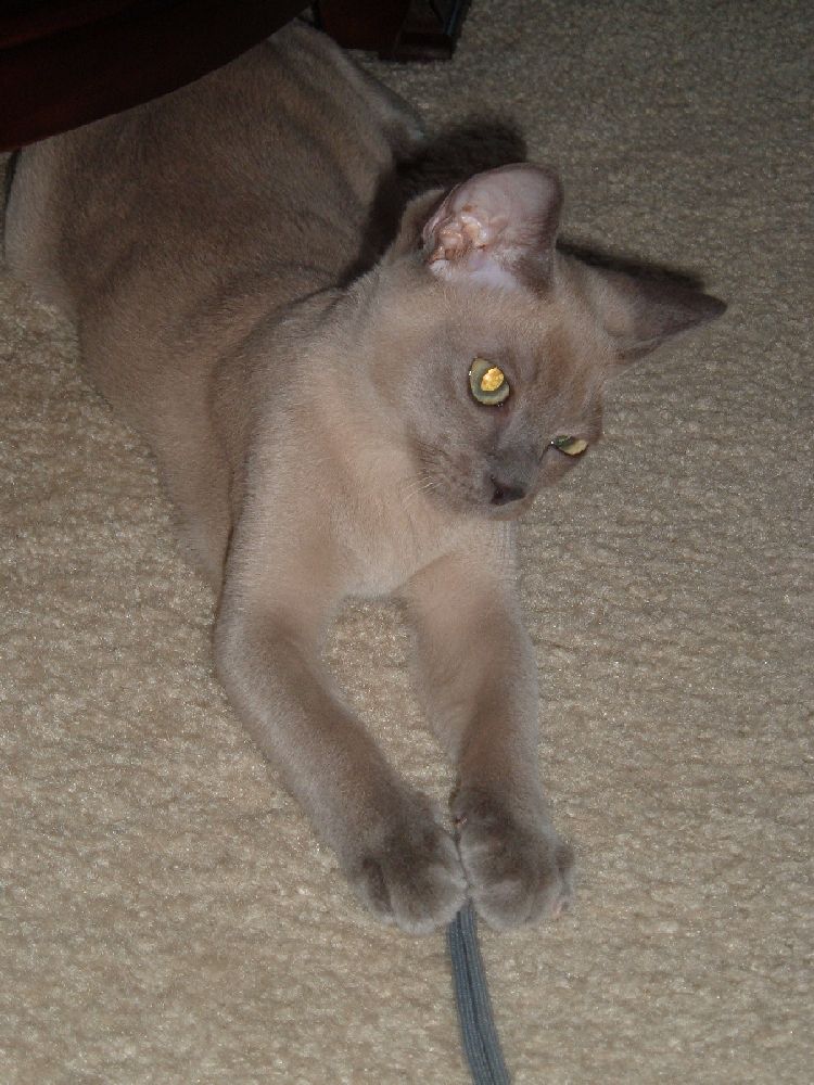 Alastair 4mos.