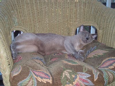 This is the Life