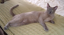 Alastair Centerfold