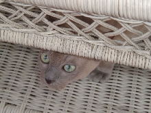 I see you...