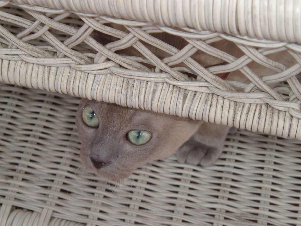 I see you...