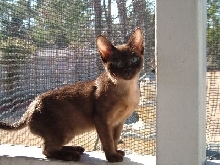 Aston posing