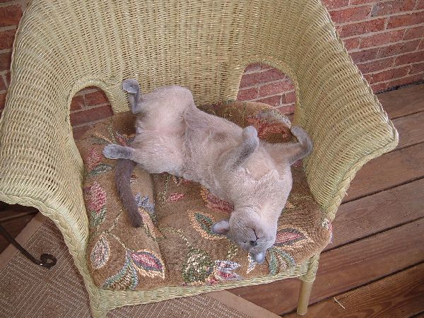 What a Life!!!