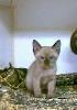 Finster Baby 8 weeks