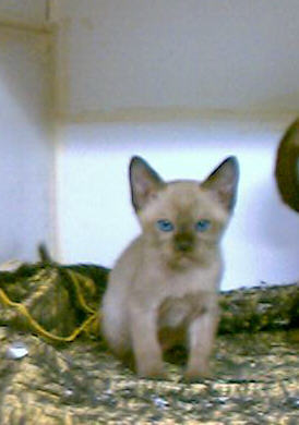 Finster Baby 8 weeks