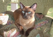 Finster 1 yr