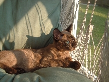 Finster  on the swing