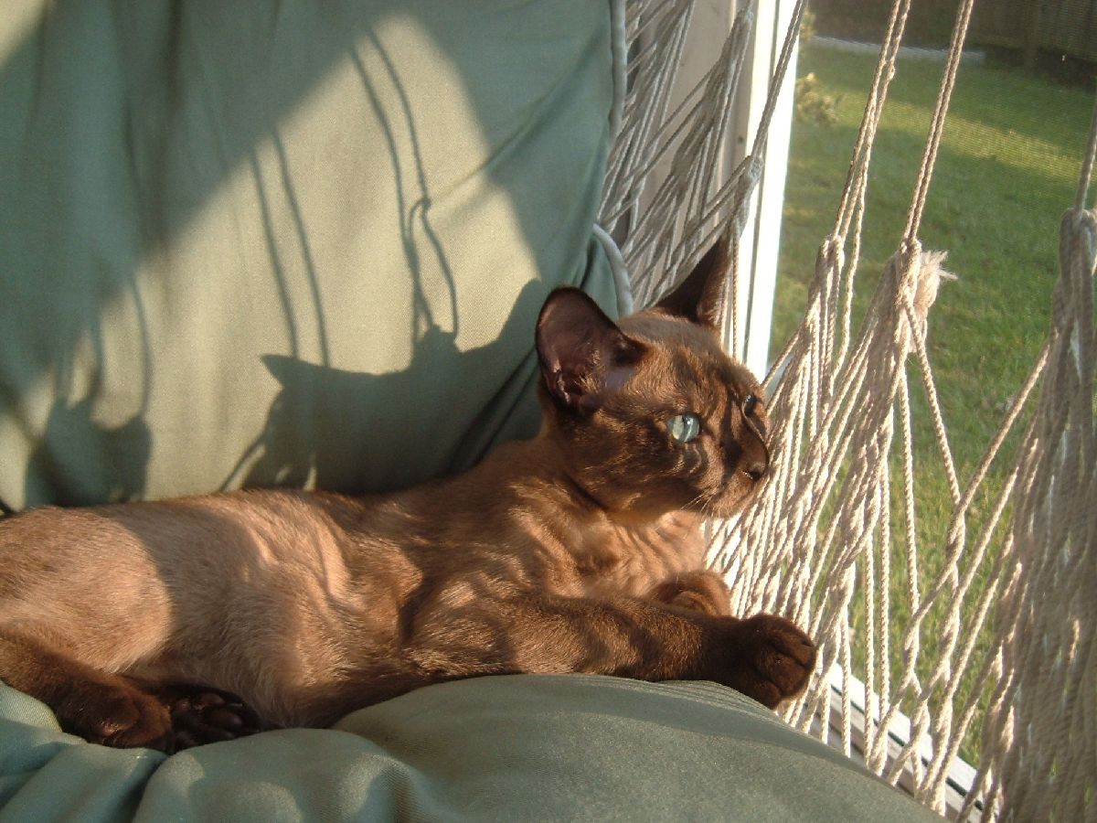 Finster  on the swing