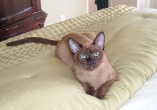 Finster 9 mos.
