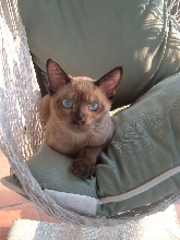 Finster 5 mos.
