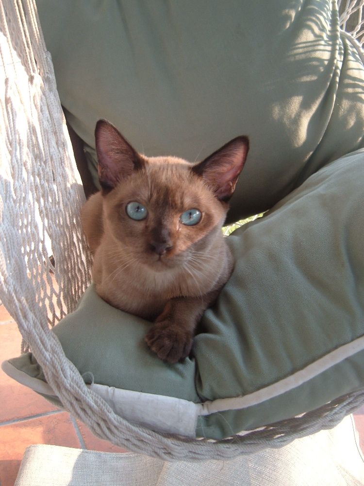 Finster 5 mos.