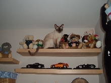 Where's Waldo?