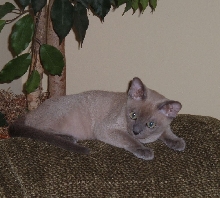 Alastair on the sofa