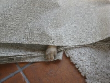 Where'd he go?