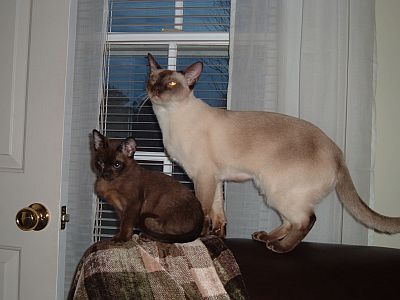 Brothers