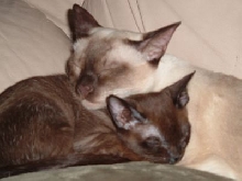Sleepy Time