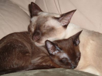 Sleepy Time
