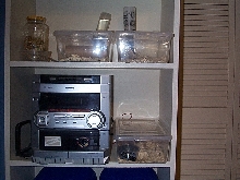 Wanna be Mouse rack