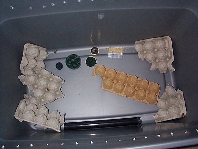 cricket breeding Kennel