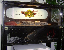 Jabari's Terrarium
