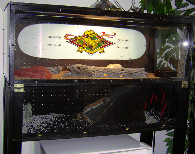 Jabari's Terrarium