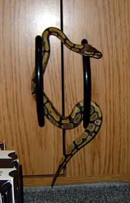 Romeo 2