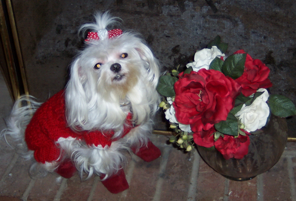 Happy Valentine's Day