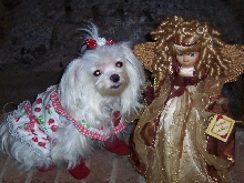 Valentine Angel