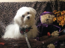 Happy Halloween!
