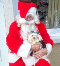 Santa's Angel Girl