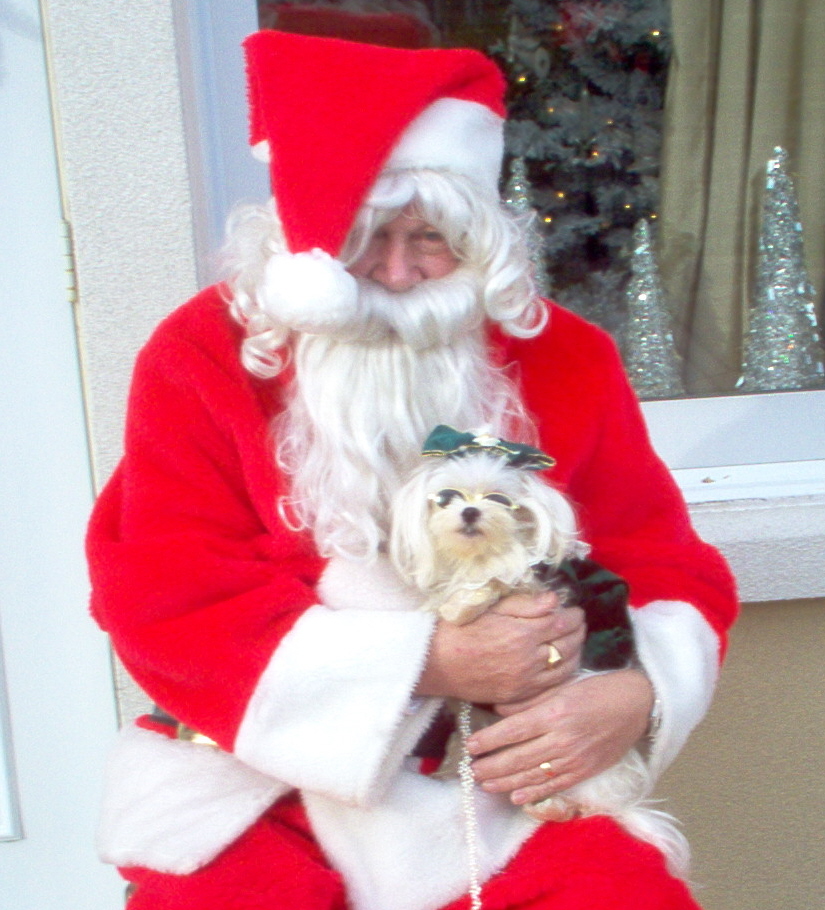 Santa's Angel Girl