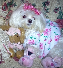 Easter Dog?!!