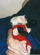 Santa's helper
