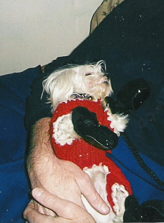 Santa's helper