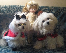 Mrs. Claus and Tommie Reindeer