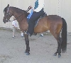 Paso