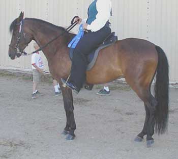 Paso