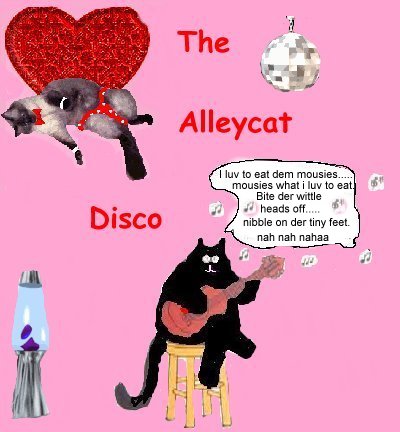 alleycat disco