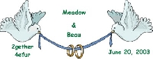 Beau Meadow wedding