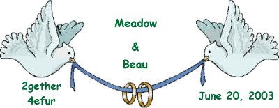 Beau Meadow wedding
