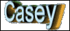 casey signature
