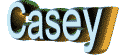 casey signature